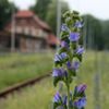 fot. Marta Kondracka