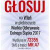 plakat 2 (link otworzy duże zdjęcie)