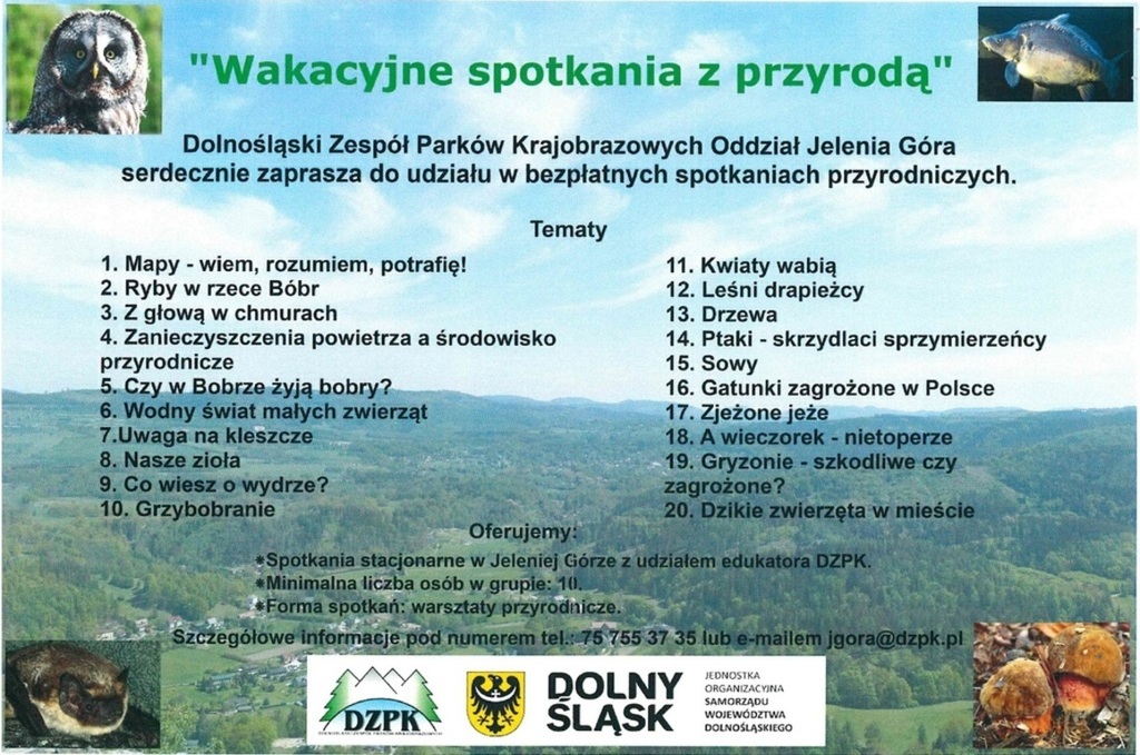 wakacyjna_przygoda.jpg