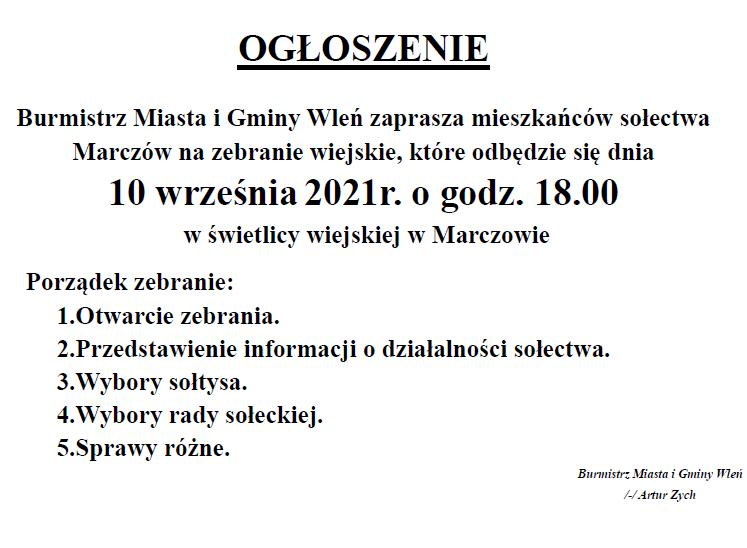 wybory_soltysa.png