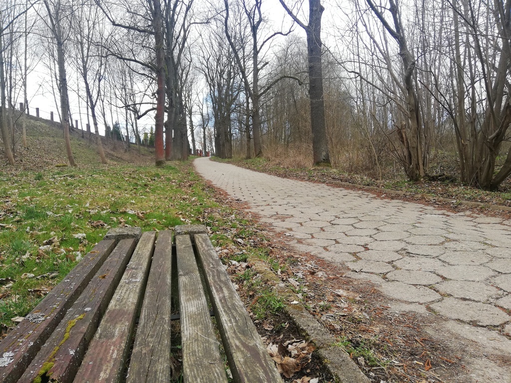 (link otworzy duże zdjęcie)