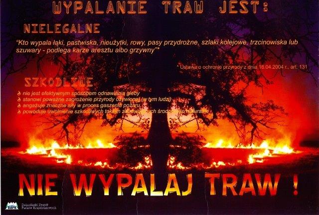 (link otworzy duże zdjęcie)