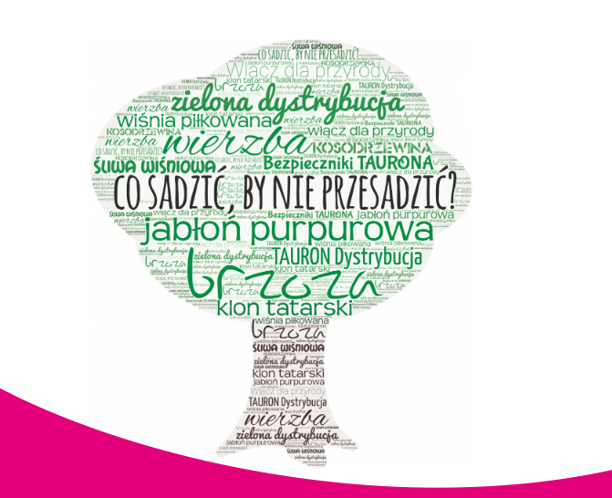 (link otworzy duże zdjęcie)