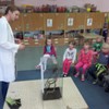 Zajęcia biologiczne w przedszkolu we Wleniu! (link otworzy duże zdjęcie)
