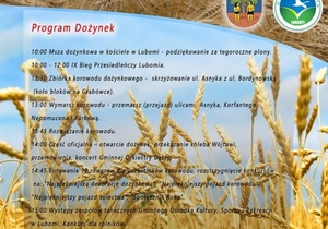 Przejdź do treści