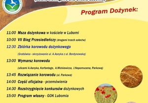 Przejdź do treści