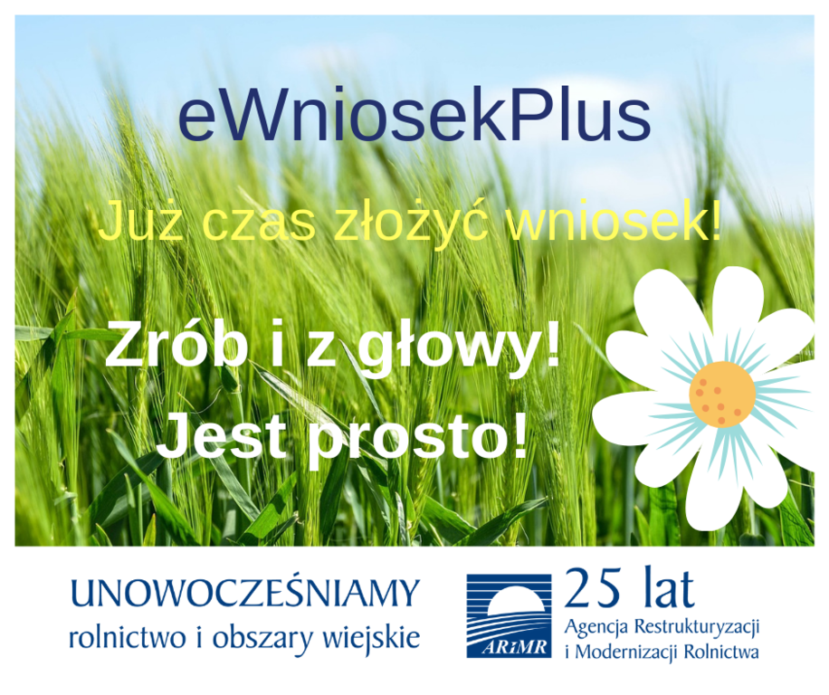 (link otworzy duże zdjęcie)