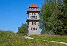 Przejdź do treści