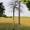Krzyż przy dawnej bramie wjazdowej do obozu w Boguszach