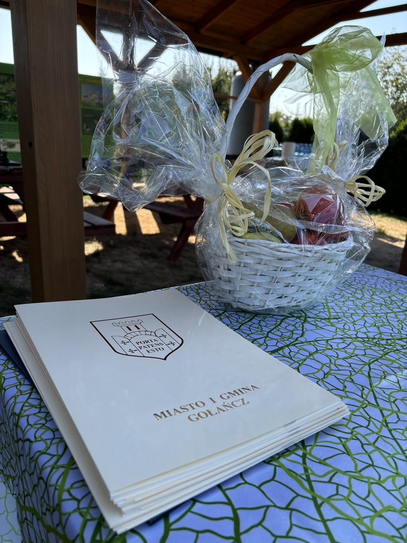 460819855_825561519789811_6145718788392550716_n.jpg [1536x2048]