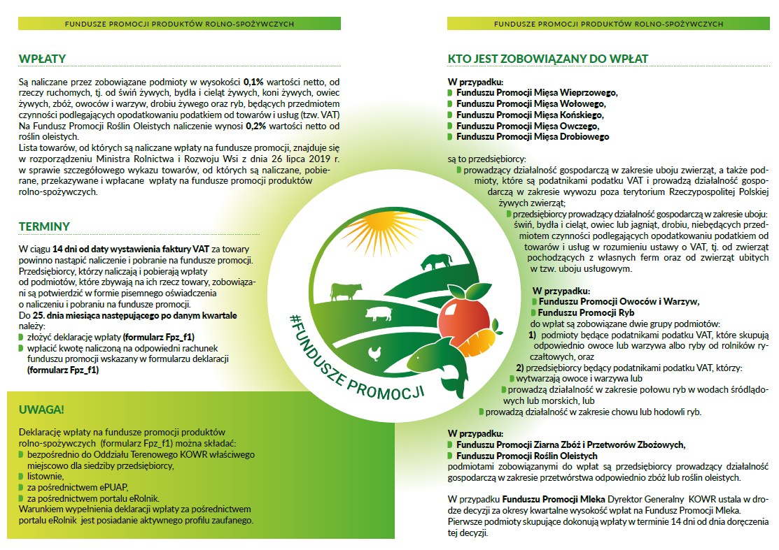 kowr2.jpg [1113x787]