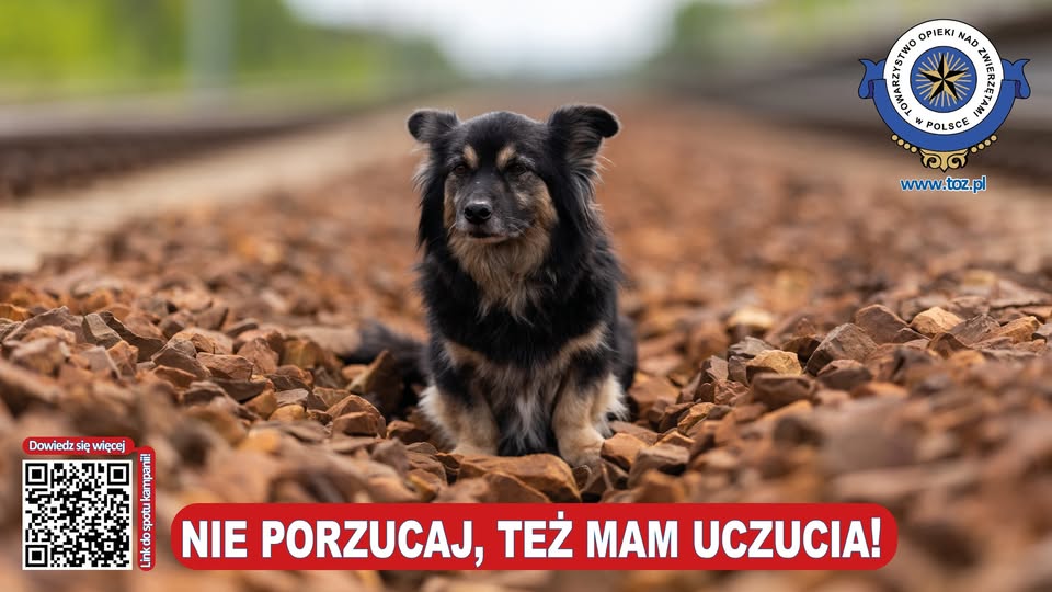 475374256_916914037321225_1600545623442305221_n.jpg [960x540]