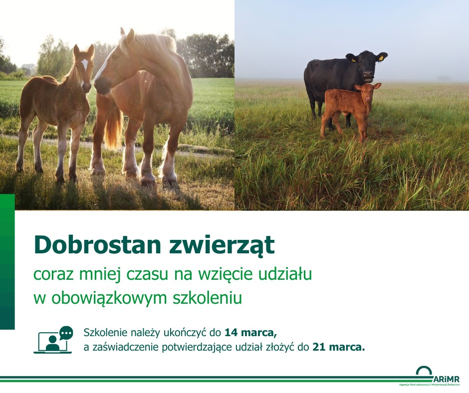 475698751_1031060065723692_3853201297062629311_n.jpg [940x788]