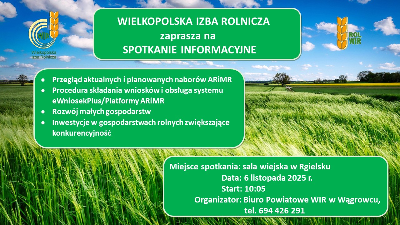 Tu powinien być opis.