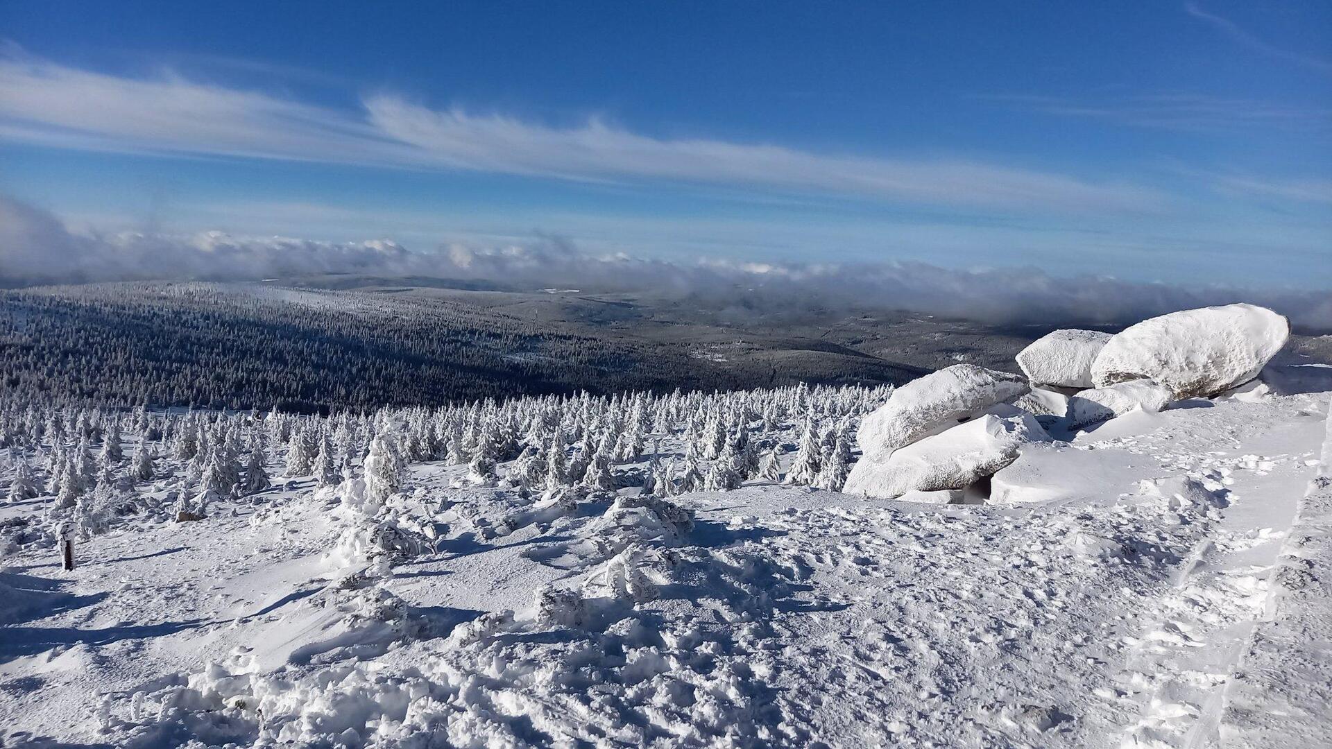 Tu powinien być opis.