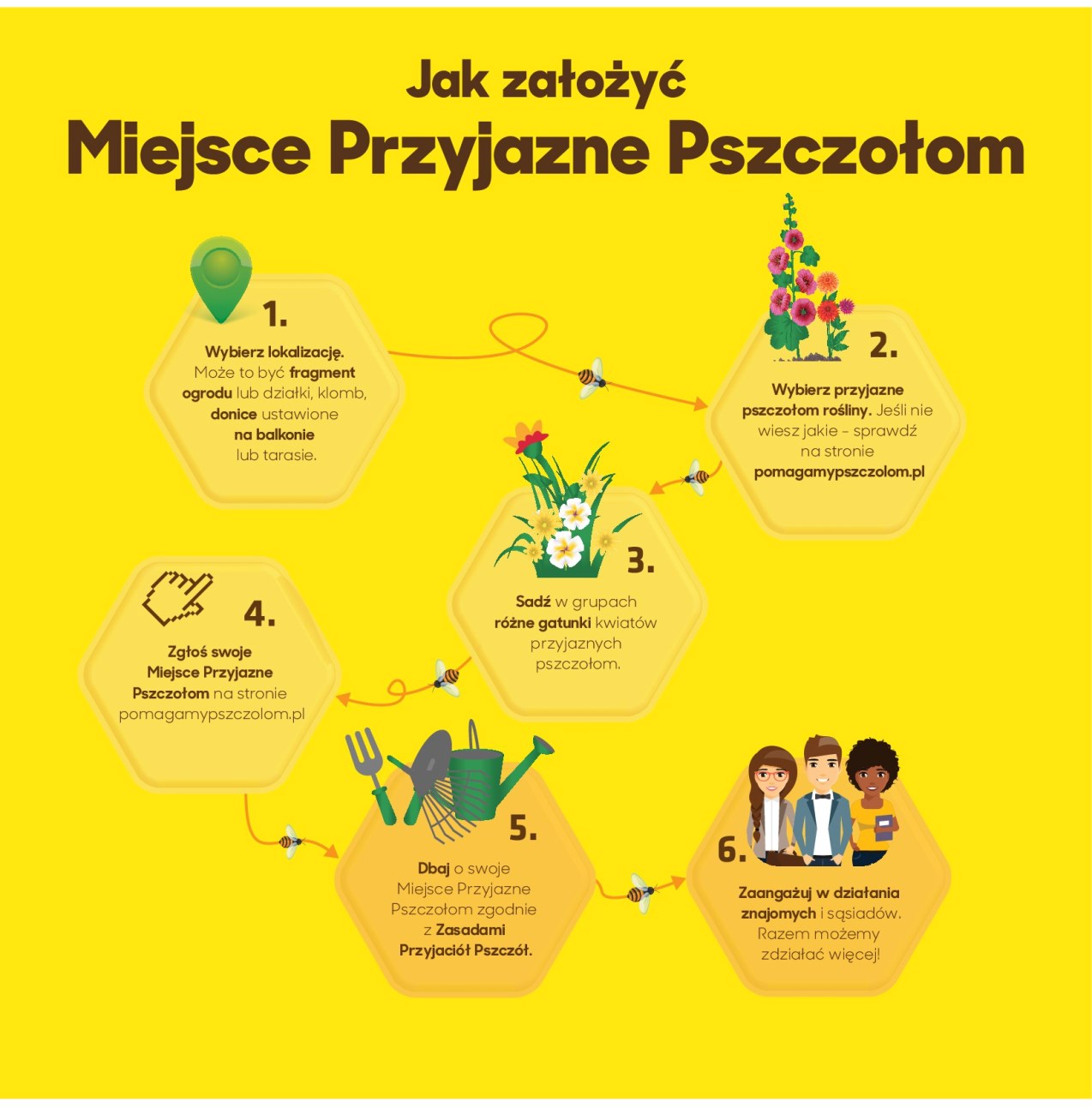 jak założyć miejsce przyjazne pszczołom [1274x1293]