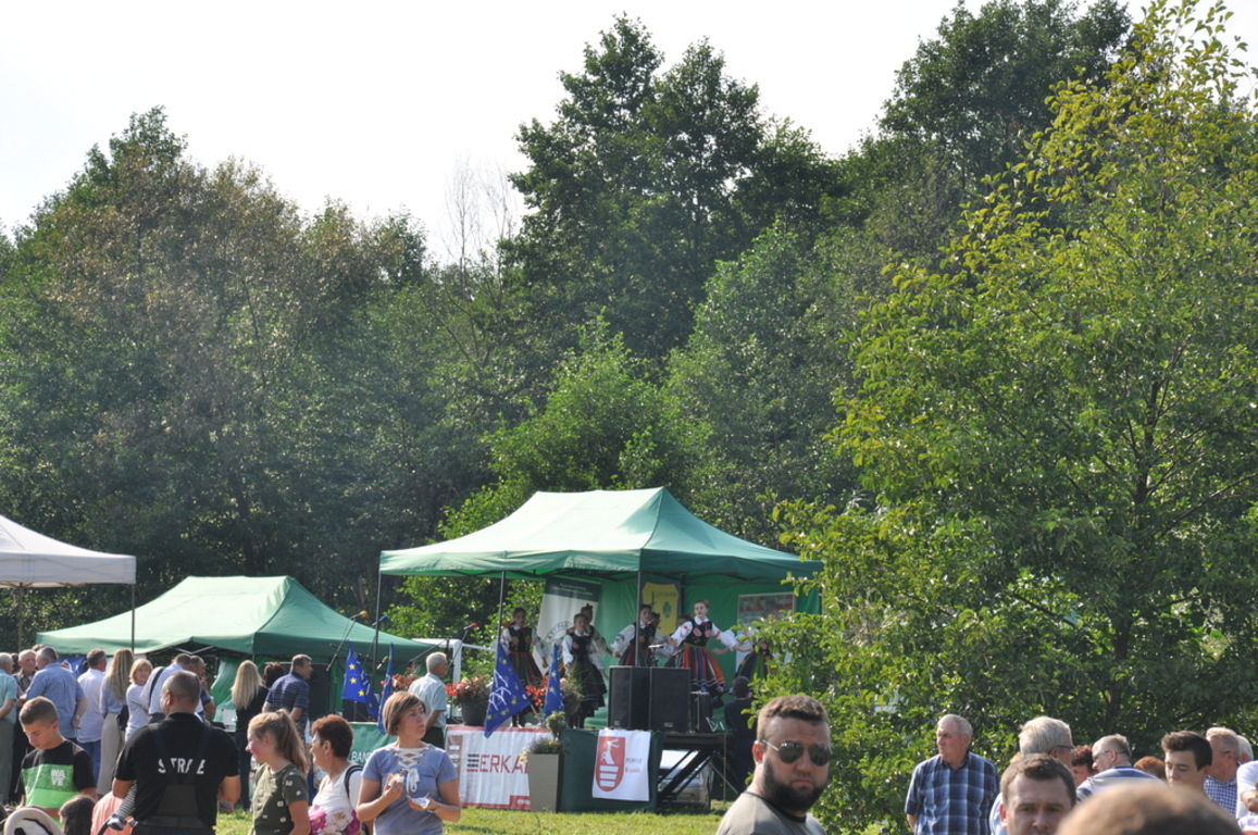 EDD 2017 (link otworzy duże zdjęcie)