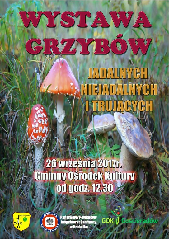 Plakat (link otworzy duże zdjęcie)