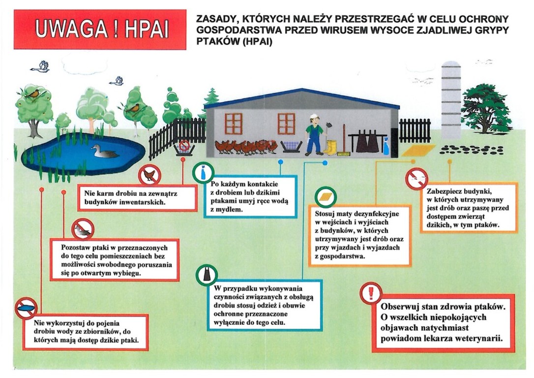 Plakat (link otworzy duże zdjęcie)