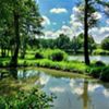 Lato Patryk Bąk (link otworzy duże zdjęcie)