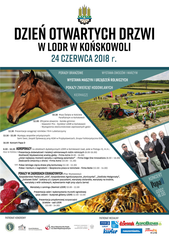 drzwi otwarte w LODR (link otworzy duże zdjęcie)