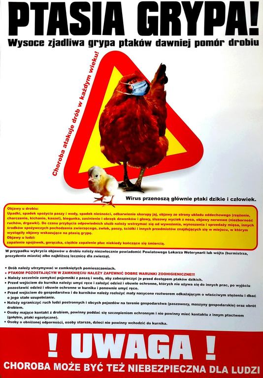 Plakat informacyjny o ptasiej grypie (link otworzy duże zdjęcie)