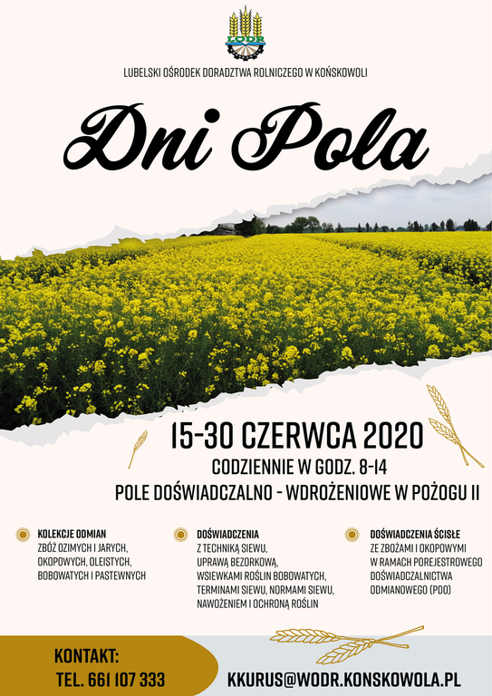 (link otworzy duże zdjęcie)