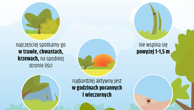 Czytaj więcej