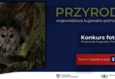 Plakat konkursowy (link otworzy duże zdjęcie)