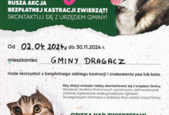 Akcja Kastracja - Plakat (link otworzy duże zdjęcie)