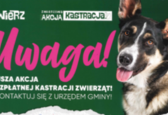  (link otworzy duże zdjęcie)