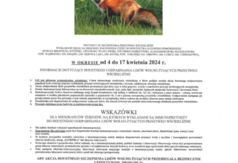 Plakat (link otworzy duże zdjęcie)