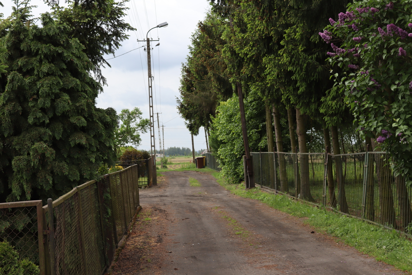 droga_dojazdowa_michale_3.jpg [6000x4000]