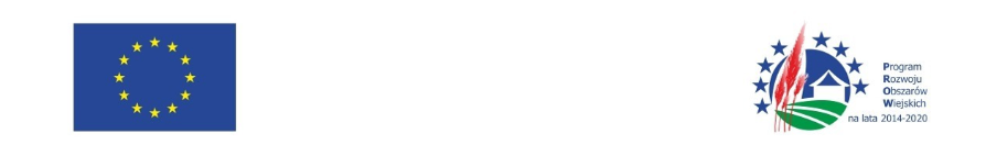 zrzut_ekranu_20250613_121749.png [894x142]