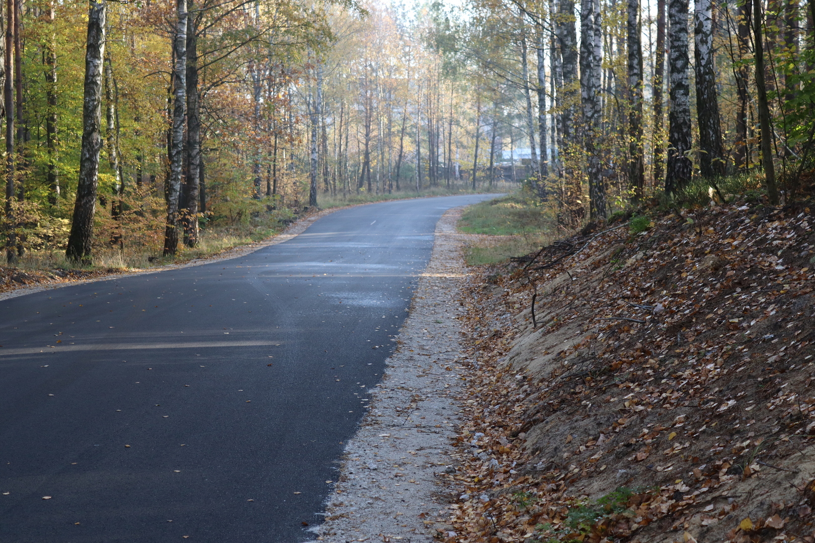 img_1953.jpg [6000x4000]