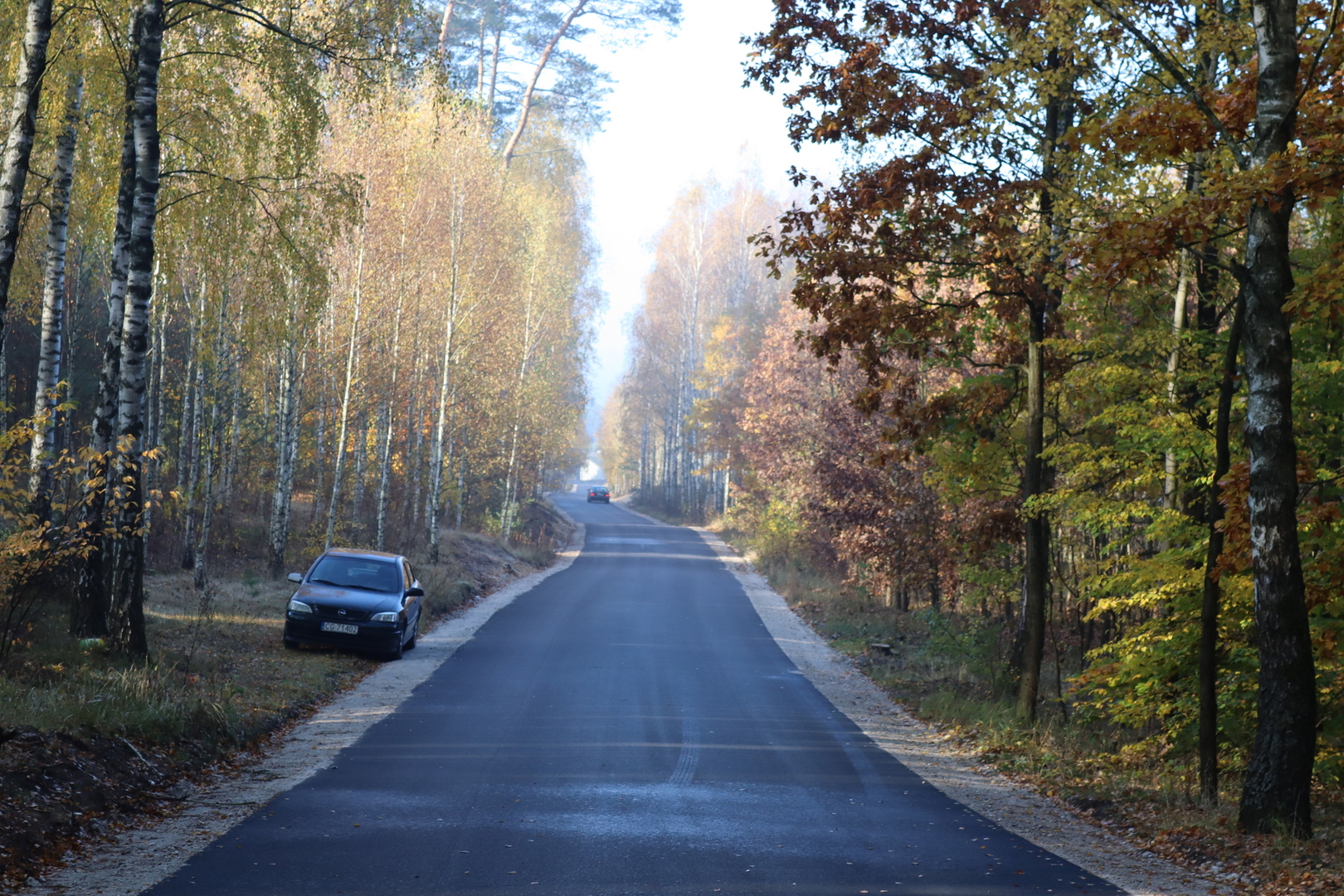 img_1954.jpg [6000x4000]