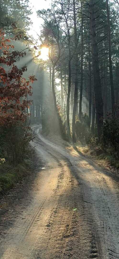 miejsce_5.jpeg [738x1600]