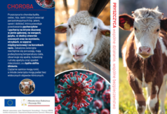 Ulotka 1/2 (link otworzy duże zdjęcie)