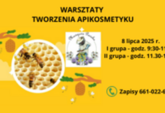  (link otworzy duże zdjęcie)