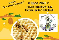 Plakat - WARSZTATY TWORZENIA APIKOSMETYKU (link otworzy duże zdjęcie)