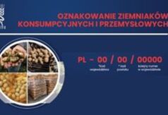  (link otworzy duże zdjęcie)