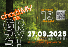  (link otworzy duże zdjęcie)