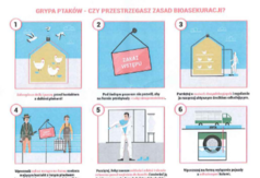  (link otworzy duże zdjęcie)