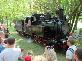 Parowów Leon podczas festynu