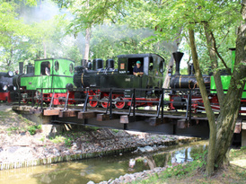 Tandem parowozów przemieszczający się przez park przy jeziorze Małym Żnińskim