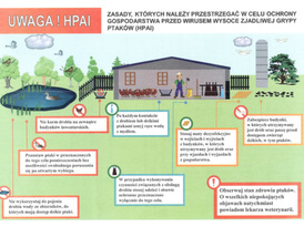 Ulotka dot. zasad bioasekuracji, które należy przestrzegać