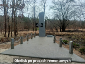  (link otworzy duże zdjęcie)