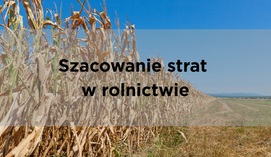 Czytaj więcej