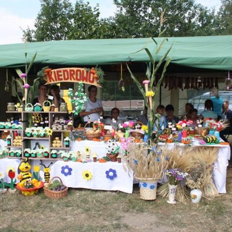 Zdjęcie z galerii Dożynki Grylewo 2015