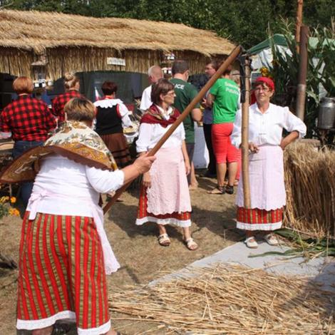 Zdjęcie z galerii Dożynki Grylewo 2015